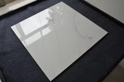 Netherlands Commercial Use Sound Insulation Ceramic Floor Tile