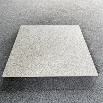Outdoor Courtyard 600X600 Matt Floor Tile 2cm Thick Anti-Frost Porcelain Tile
