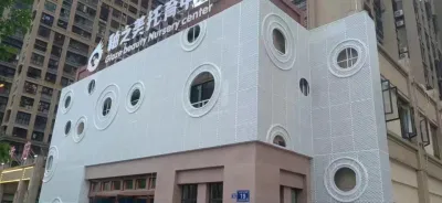 Convenient Tiles for Interior and Exterior Wall Cladding Flexible Wall Cladding Panel for Exterior Wall Lightweight Suspended Ceilings