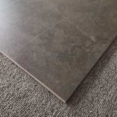 Anti-Static Cement Look Rustic Glazed Porcelain Flooring Tiles for Hotel