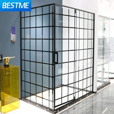 Foshan High Quality Gray Gun Stainless Steel Frame Xinyi Brand Shower Glass Door (Bl-B0118-C)