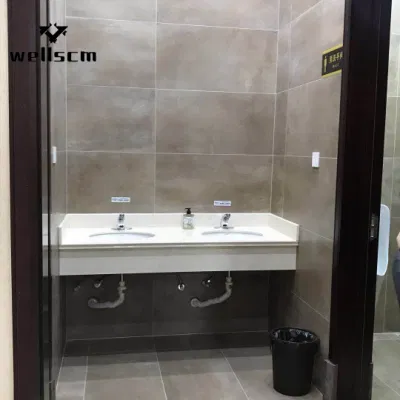 Chinese Soluble Salt and Double Loading 60 X 60 / 60 X 120 Cm Porcelain Tiles Porcelain Floor