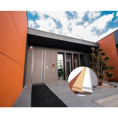 Togen Fire Resistant Hospital Facade Custom Wall Tile Cladding Natural Surface Clay Exterior Red Terracotta Panel