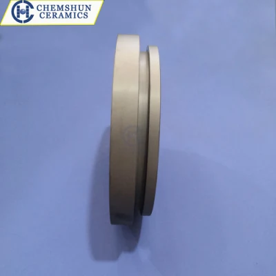 Pressureless Sintered Silicon Carbide (SSiC) Plate for 3D Printing Machine