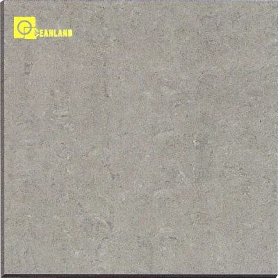 24X24 Nano Polished Porcelain Floor Tile by Sale
