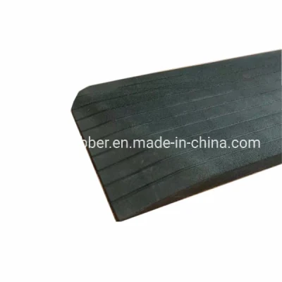 Water Proofing Rubber Ramps Bathroom