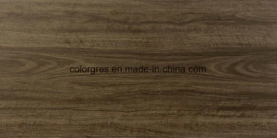 Building Material Wooden Like Rustic Floor Tile (450*900mm)