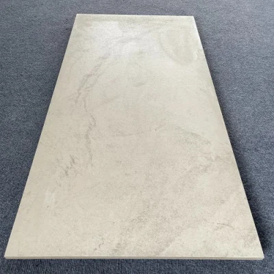 60X120 Ceramic Tile Thickness 20mm Standard Sizes Matt Porcelain Tiles
