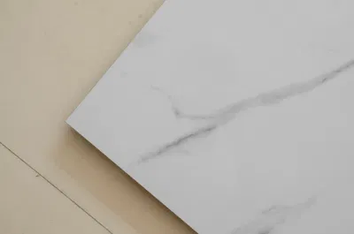 Bathroom Design Textured White Glossy Wall and Floor Ceramic Tile