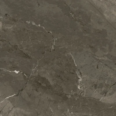 Best Soufute New Rustic Designs 3D Ink Jet 24X24 Porcelain Ceramic Floor Tile (JB6076D)
