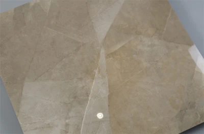 24X24 Inch Ceramic Printing Porcelain Floor Tile HS Code