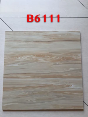 600*600mm Wall and Floor Tile Pure Color Porcelain Polished Interior Floor Tile in Living Room Bathroom Outdoor Garden Good Quality China Tile