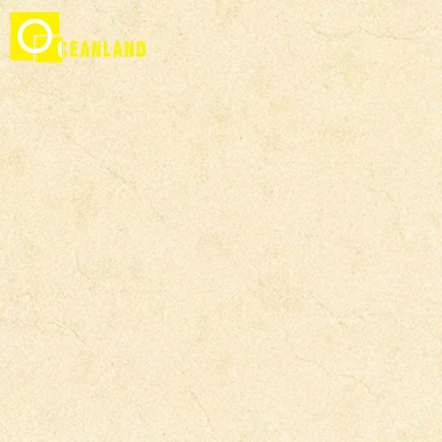 600X600mm Fashion Style Showroom Floor Polished Porcelain Wall Tile