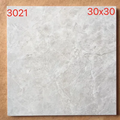 Commercial Item Modern Style 300X300 Rustic Ceramic Tiles in Matt Wall and Floor Tiles