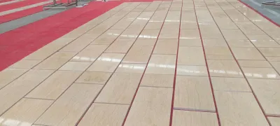 Natural Stone polished/honed beige Sylvia Marble tiles for interior/indoor Kitchen/Bathroom/Lobby/toilet floor/wall/kitchen/ceiling Decoration