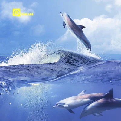 Newest Design Seaword 3D Ceramic 3D Wall Tile