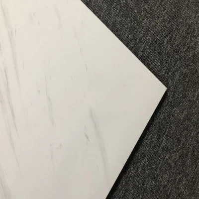 Made in China Natural Style Flooring Wall Tile with Low Price 6633p