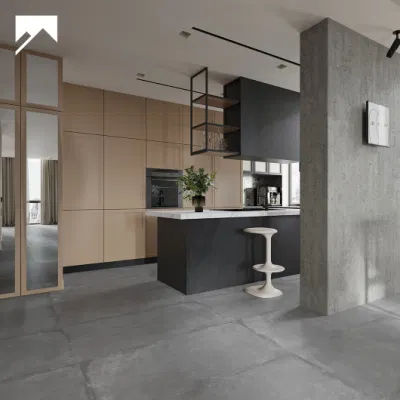 Matt Finish Concrete Look Hotel Room Floor Porcelain Tile