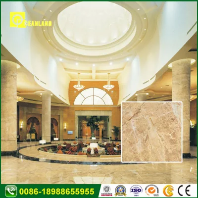 24X24 Digital Outdoor Glazed Rustic Porcelain Floor Ceramic Tile