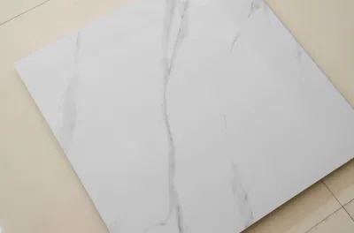 Bathroom Design Textured White Glossy Wall and Floor Ceramic Tile