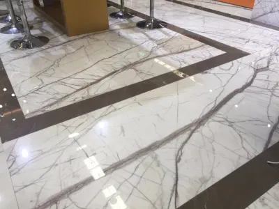 Calacatta White Marble Pure/Plain White Marble Busy/Patterns/Veins Interior Bathroom/Wall/Floor Tiles