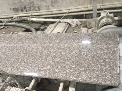 Natural Stone G664 China Pink Granite Tiles for Floor Wall