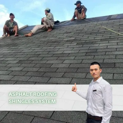 Concrete Construction ASTM Roofing Materials Russia Quality Asphalt Roofing Shingles Red Blue Rubber Roof Tiles