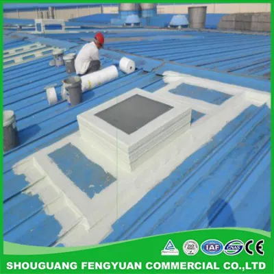 Waterproof Coating Used for Roof, Wall, Pools, Bathroom etc