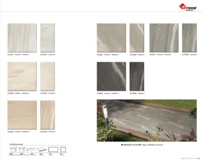 24X24&prime; Floor Tile for Bulidding Project (AJJD60073)