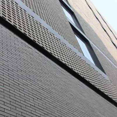Togen China Factory Supply Red Clay Facing Bricks for Exterior Wall Tile
