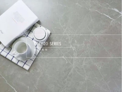 Timeless Design Darwin Glazed Matte Ganite Nature Stone Ceramics Tile Bathroom Walls China Living Room Rustic Lowes Porcelain Floor Tiles