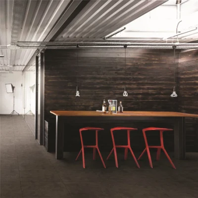 Concrete Design Glazed Rustic Porcelain Ceramic Wall Floor Tile for Living Room (A6016)