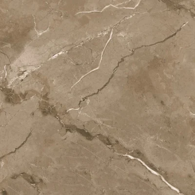 Best Soufute New Rustic Designs 3D Ink Jet 24X24 Porcelain Ceramic Floor Tile (JB6076D)