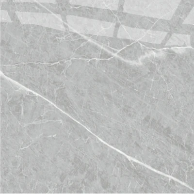 60 120 Gres Monococcion Tile, China Discontinued Porcelain Floor Tile