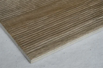 Ceramic Wall Floor Matt Balcony Porcelain Wood Like Outdoor Tile