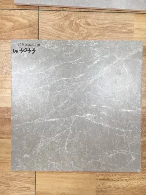 Commercial Item Modern Style 300X300 Rustic Ceramic Tiles in Matt Wall and Floor Tiles