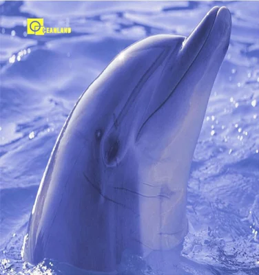 3D Ceramic Wall Tile in Sea
