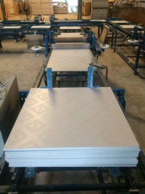 7mm Alternative to Gypsum Ceiling Tiles Made in China