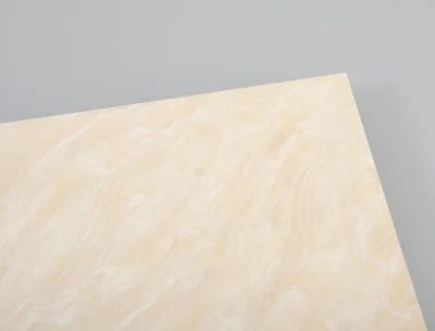 Floor and Wall in Algeria Yellow Porcelain Tile 800X800