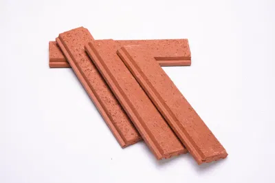 Togen China Factory Supply Red Clay Facing Bricks for Exterior Wall Tile