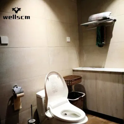 Chinese 60 X 120 Cm Big Size Matte Surface Non Slip Porcelain White Rectified Ceramic Tile Floor and Wall