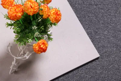 24*24inch 600*600mm Ivory Color Tiles Porcelain Tile China Unglazed Floor Tiles