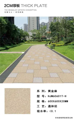 600*600*20mm Thickness Full Body Porcelain Tile for Floor Building Material