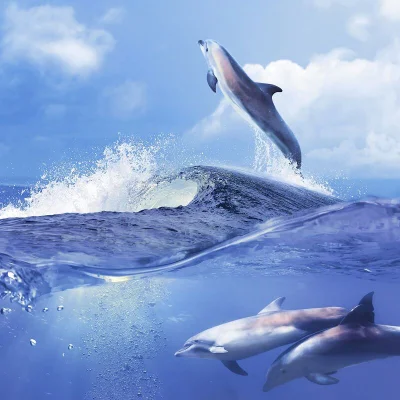 3D Wall Sea World Background Nano Floor Tiles for Sales
