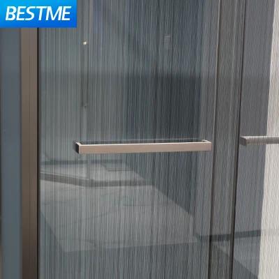 Foshan High Quality Gray Gun Stainless Steel Frame Xinyi Brand Shower Glass Door (Bl-B0118-C)