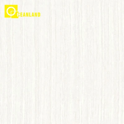 600X600mm Fashion Style Showroom Floor Polished Porcelain Wall Tile