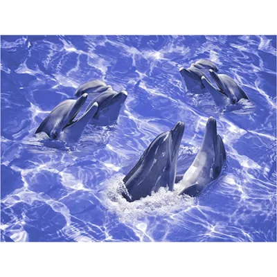 Manufacturing Hotsale 3D Ceramic Floor Tile in China