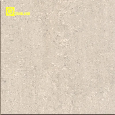 24X24 Nano Polished Porcelain Floor Tile by Sale