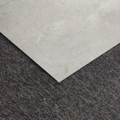 Fashion Matte Surface Home Interior Design China Kitchen Tile 66A142