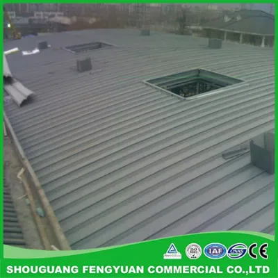Waterproof Coatings for Waterproof Solutions